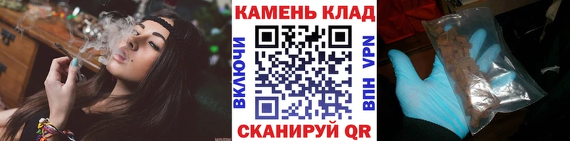 Где купить наркотики Багратионовск Кокаин Амфетамин Псилоцибиновые грибы ГАШ Каннабис Меф мяу мяу