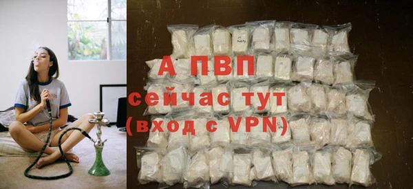 кокс Ростов