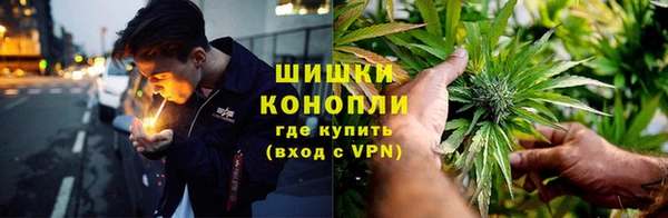 дживик Россошь