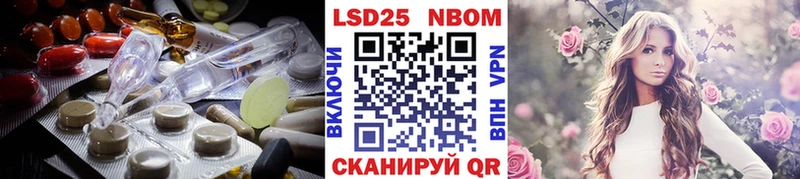 купить наркотик  Багратионовск  ссылка на мегу ТОР  Лсд 25 экстази кислота 