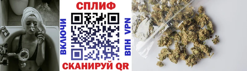 Бошки марихуана конопля  Багратионовск 